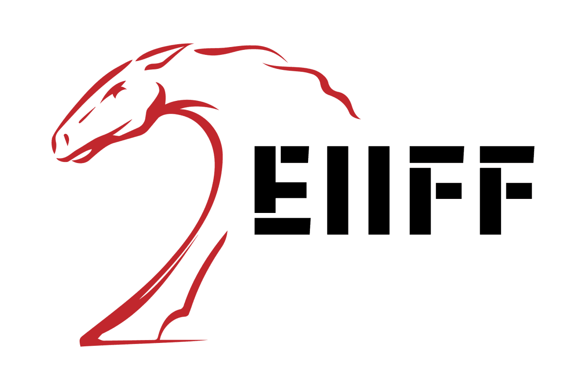 EIIFF - Eikhoigi Imphal International Film Festival